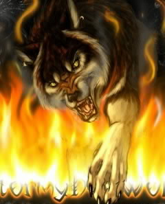 Fire wallpaper 87-001